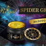 Гель-паутинка SPIDER GEL ROYAL Золото 5 ml 