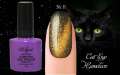 Гель лак ROYAL CAT EYE HAMELEON 9ml №11