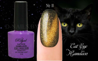 Гель лак ROYAL CAT EYE HAMELEON 9ml №11