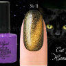 Гель лак ROYAL CAT EYE HAMELEON 9ml №11