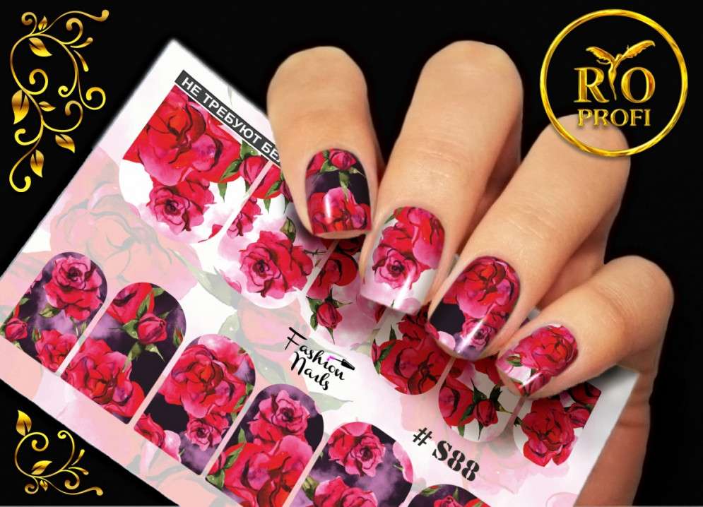 Rio Profi Слайдер дизайн S 88