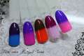 Гель лак ROYAL TERMO 9ml №55