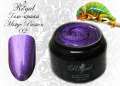 Гель-краска Royal MYSTIC PASSION #2 5ml