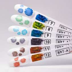 Аква краска 07, 5 ml      