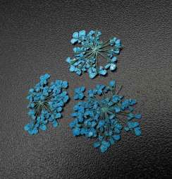 1678 Сухоцветы "Любимые цветочки"  